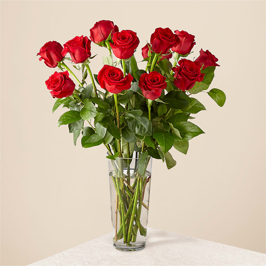 Long Stem Red Rose Bouquet – Boston City Florist, Boston MA