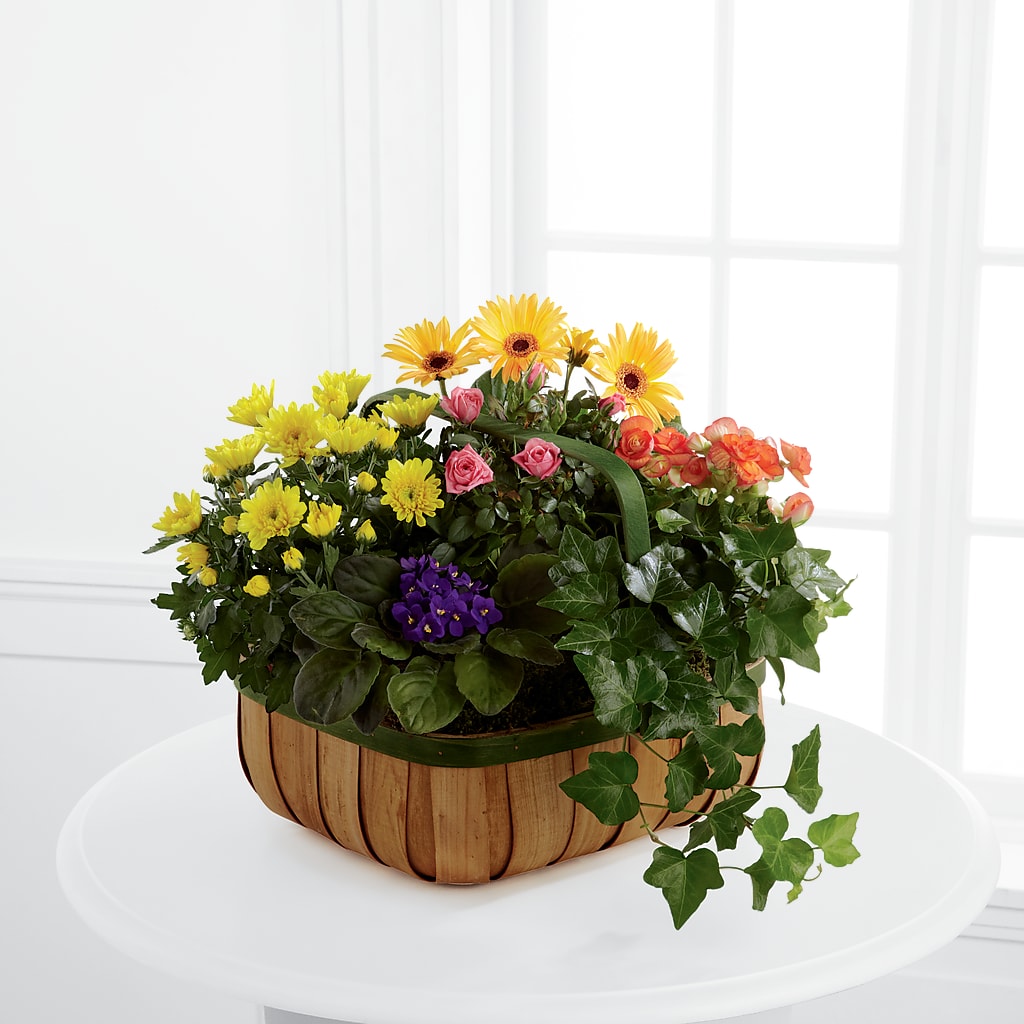 Gentle Blossoms Basket – Boston City Florist, Boston MA