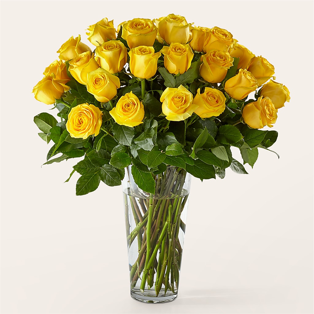 Long Stem Yellow Rose Bouquet – Boston City Florist, Boston MA