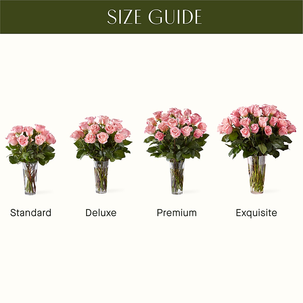 Long Stem Pink Rose Bouquet – Boston City Florist, Boston MA