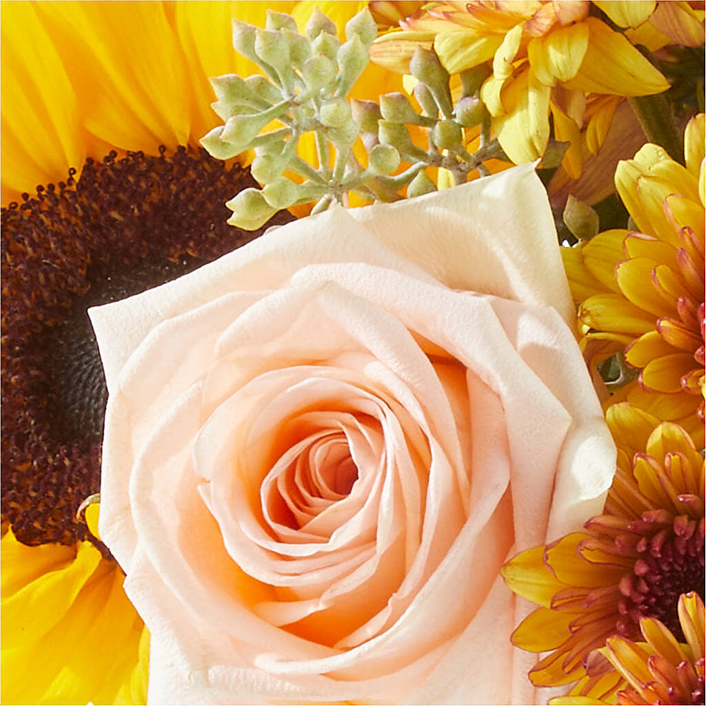 Pumpkin to Talk About Bouquet – Boston City Florist, Boston MA