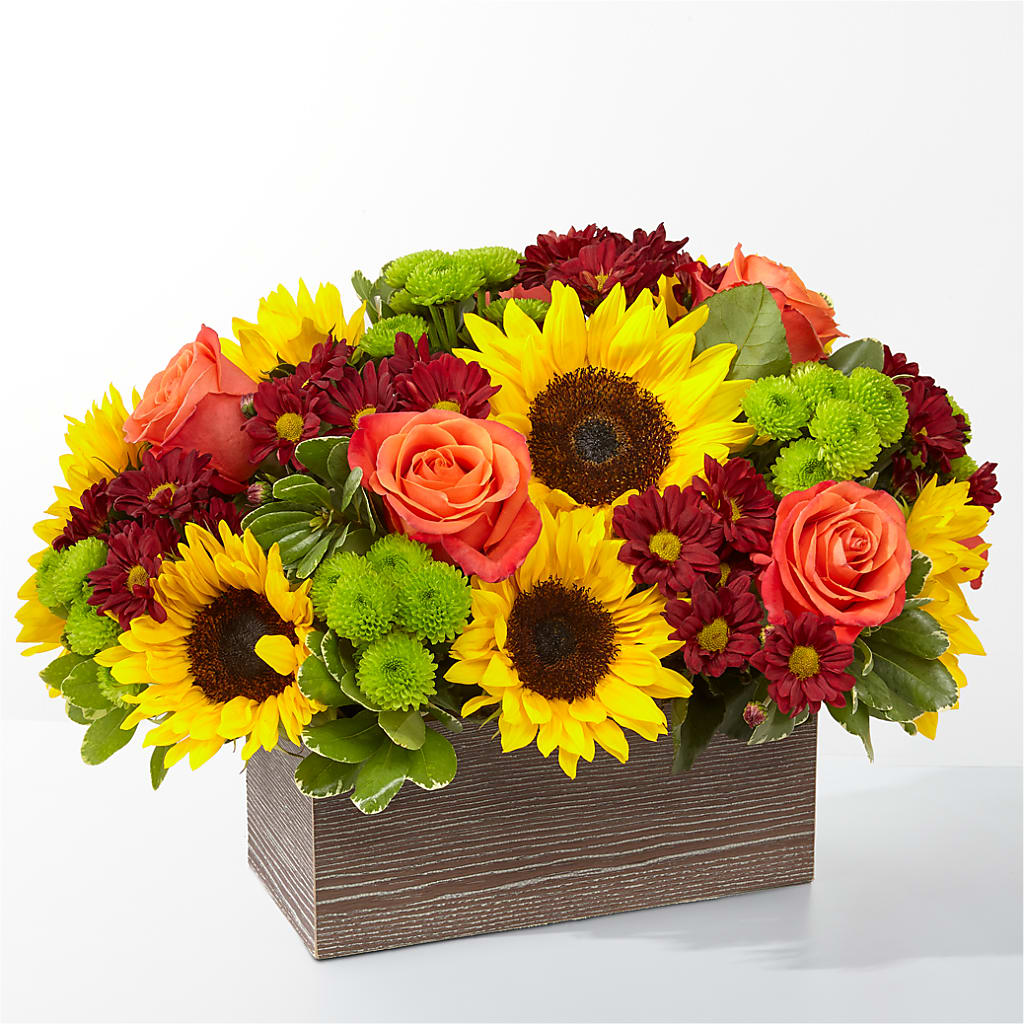 Happy Harvest Garden – Boston City Florist, Boston MA