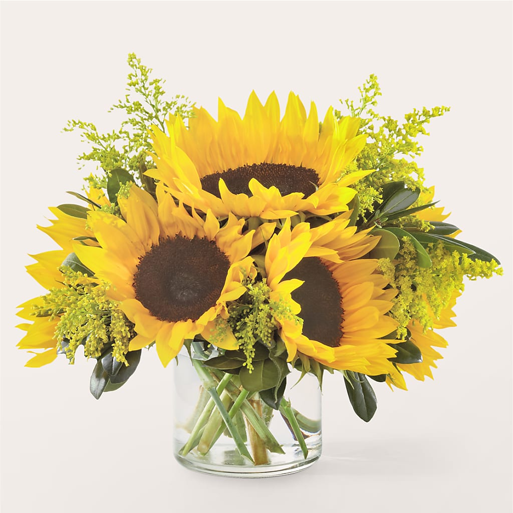Beaming Sunflower Bouquet – Boston City Florist, Boston MA