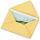 Greeting Card – Boston City Florist, Boston MA