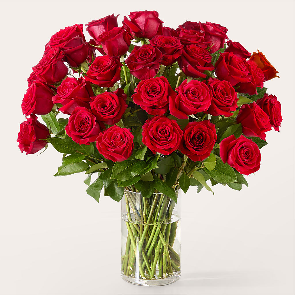 The One Red Rose Bouquet – Boston City Florist, Boston MA