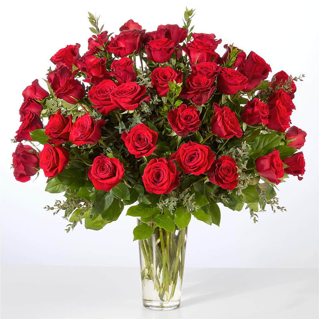 Forever Yours Fifty Stem Red Rose Bouquet – Boston City Florist, Boston MA
