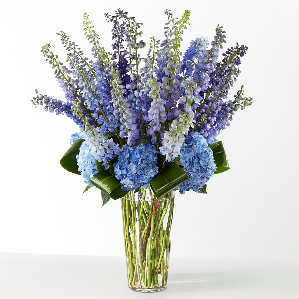 The Editorial – Boston City Florist, Boston MA