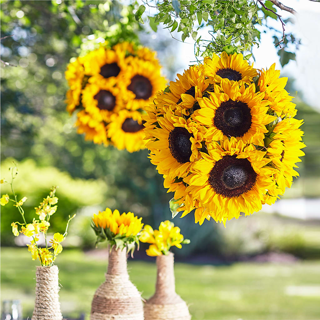 Sublime Garden Hanging Arrangement – Boston City Florist, Boston MA