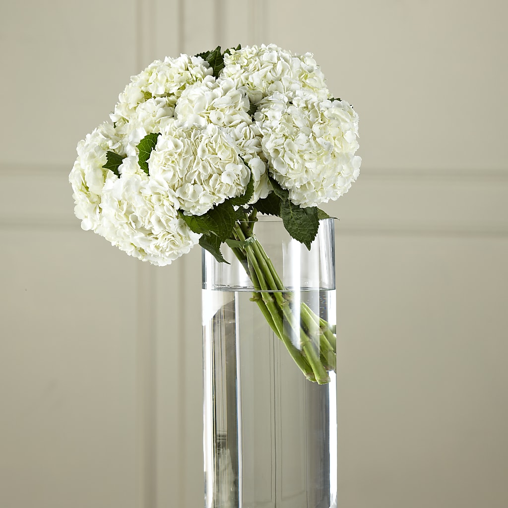 White Hydrangea Hand-Tied Bouquet – Boston City Florist, Boston MA
