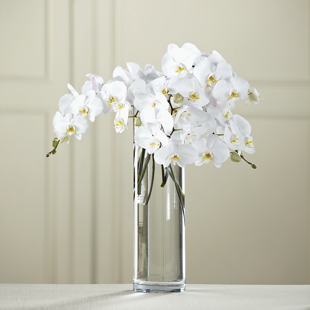 White Phalaenopsis Bouquet – Boston City Florist, Boston MA