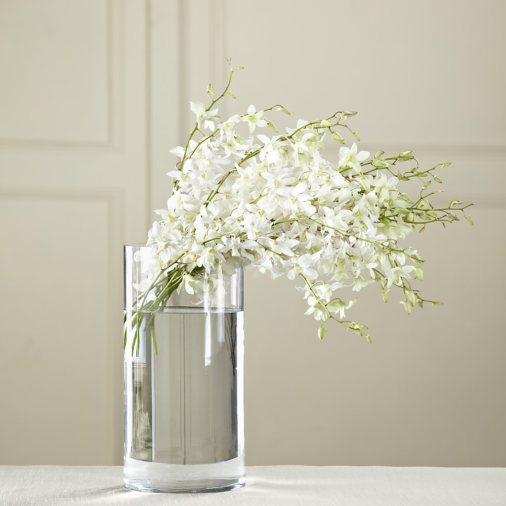 White Dendrobium Bouquet – Boston City Florist, Boston MA