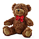 Adorable Plush Bear –  Boston City Florist, Boston MA