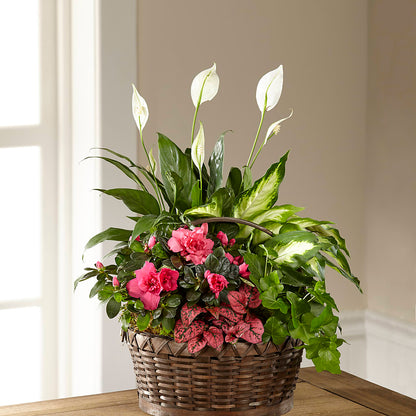 Dream in Pink Dishgarden –  Boston City Florist, Boston MA