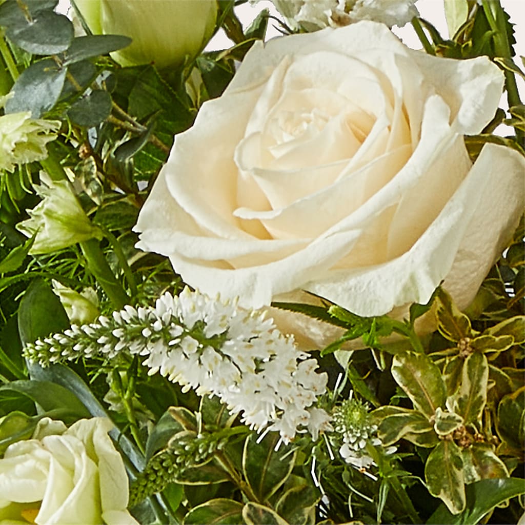 Cashmere Bouquet –  Boston City Florist, Boston MA
