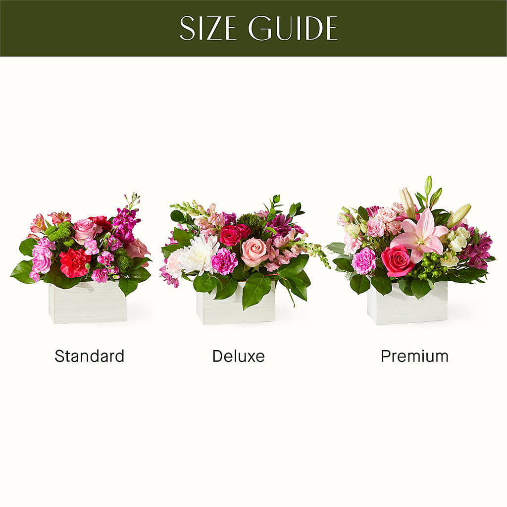 Sweetberry Box – A Florist Original –  Boston City Florist, Boston MA