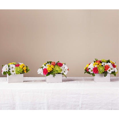 Sorbet Bouquet –  Boston City Florist, Boston MA