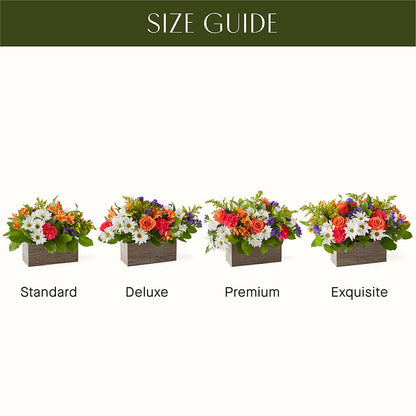 Oopsie Daisy Box Bouquet –  Boston City Florist, Boston MA