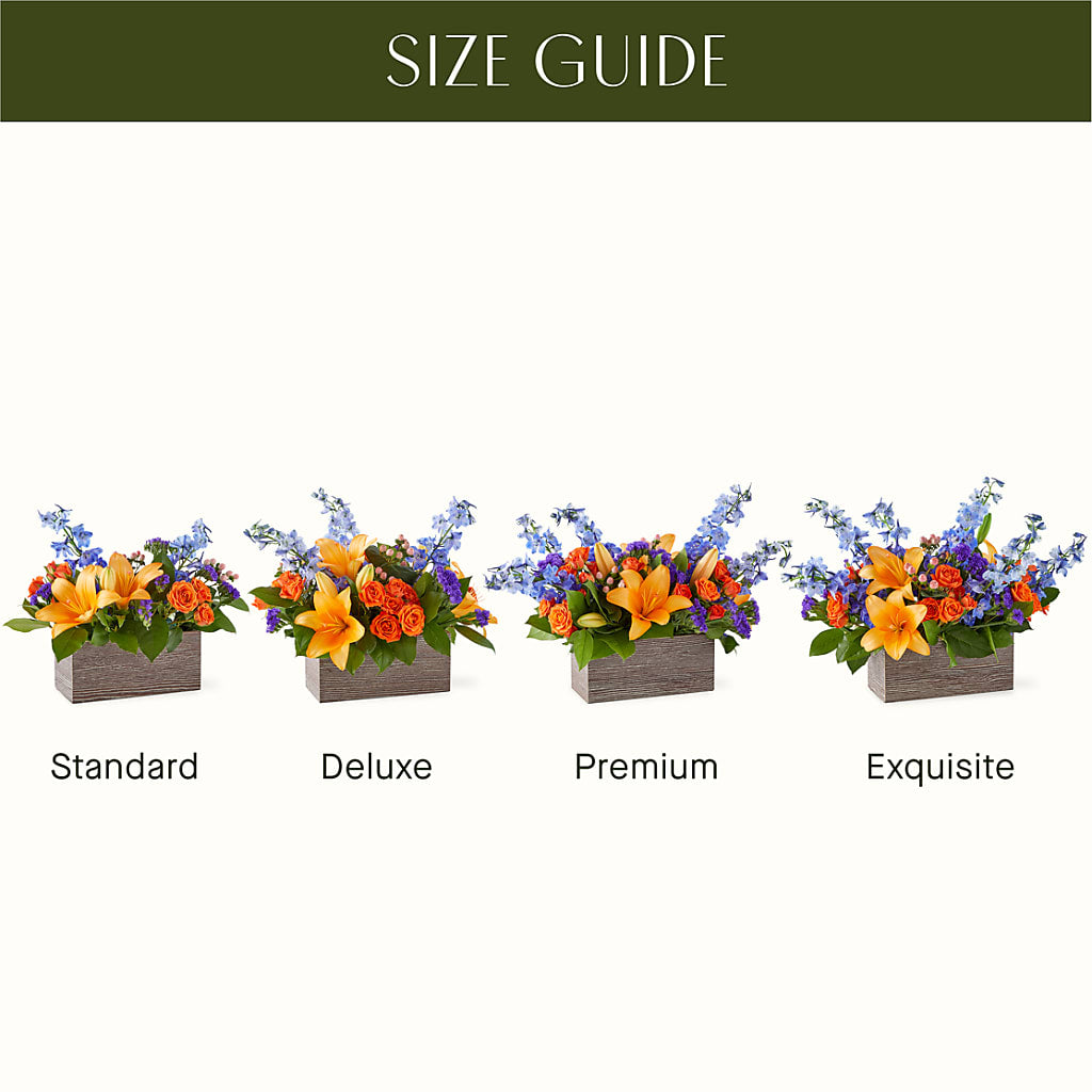 Radiant Citrus Box Bouquet –  Boston City Florist, Boston MA