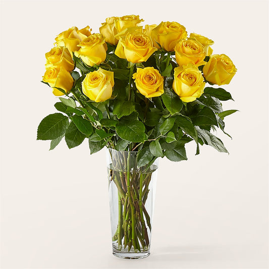 Long Stem Yellow Rose Bouquet –  Boston City Florist, Boston MA