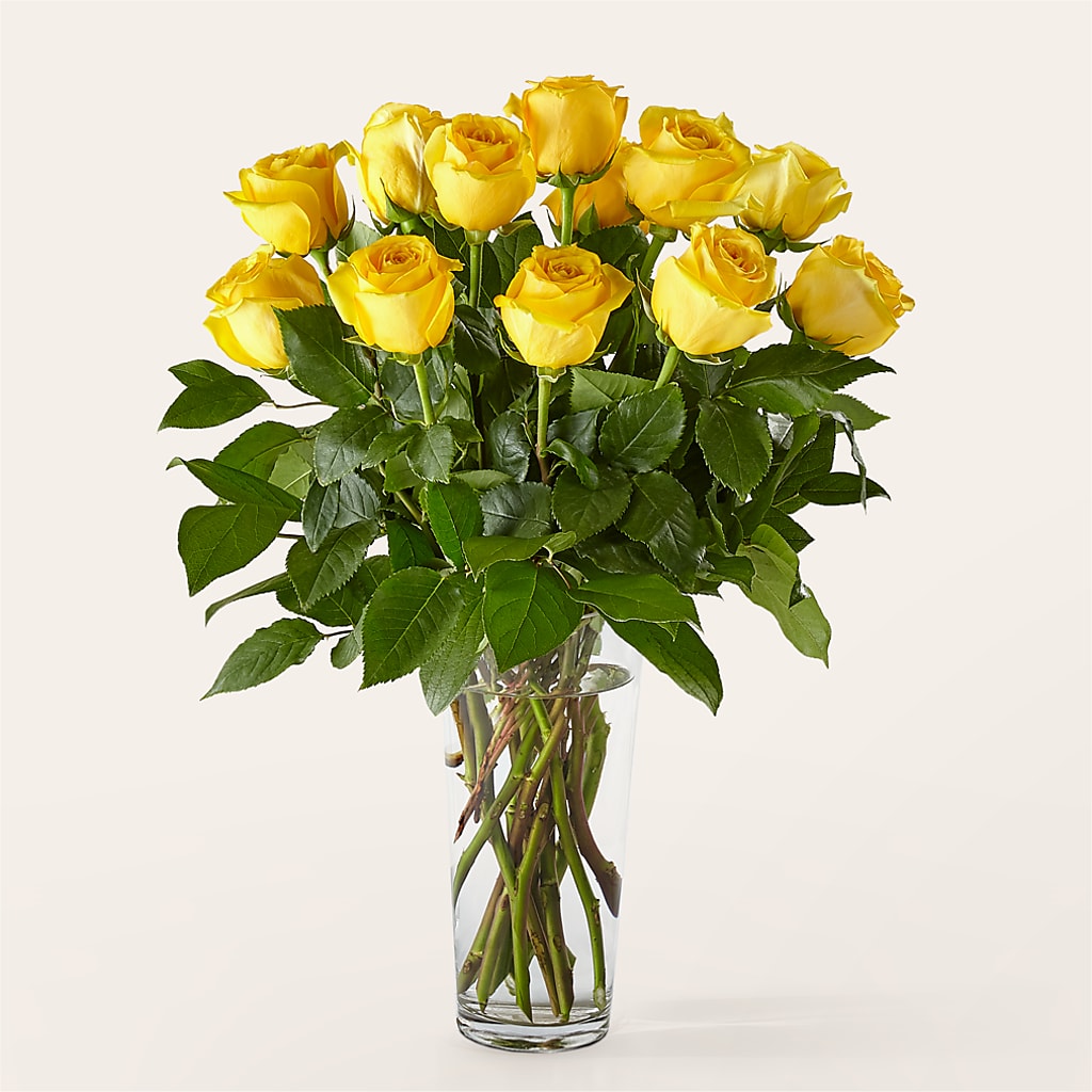 Long Stem Yellow Rose Bouquet –  Boston City Florist, Boston MA