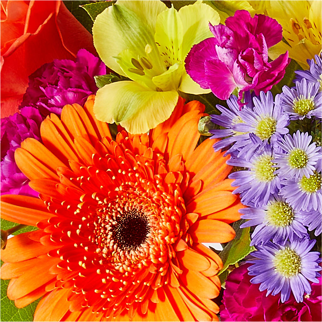 Tricks & Treats Pumpkin –  Boston City Florist, Boston MA