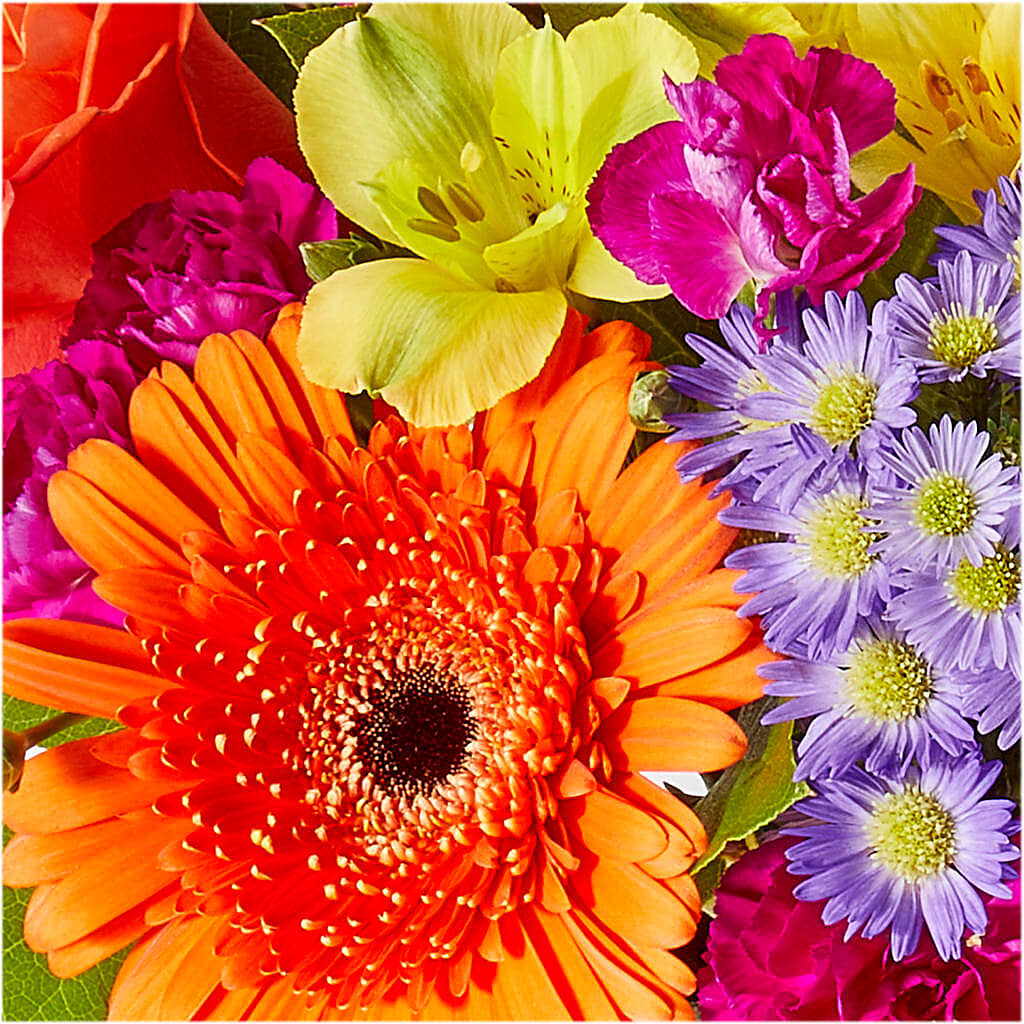 Tricks & Treats Pumpkin –  Boston City Florist, Boston MA