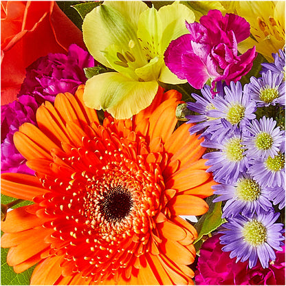 Tricks & Treats Pumpkin –  Boston City Florist, Boston MA