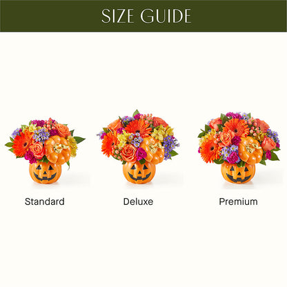 Tricks & Treats Pumpkin –  Boston City Florist, Boston MA