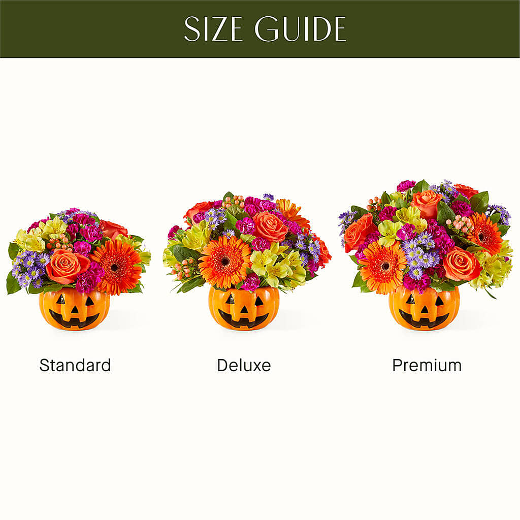 Tricks & Treats Pumpkin –  Boston City Florist, Boston MA