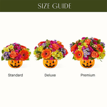 Tricks & Treats Pumpkin –  Boston City Florist, Boston MA