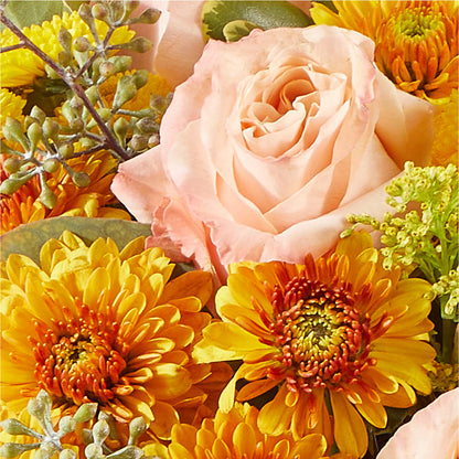 Peachy Pumpkin –  Boston City Florist, Boston MA