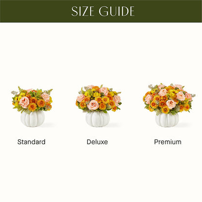 Peachy Pumpkin –  Boston City Florist, Boston MA