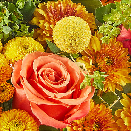 Gourdgeous Pumpkin –  Boston City Florist, Boston MA