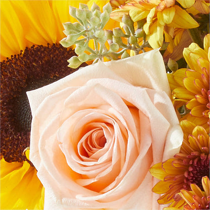 Pumpkin to Talk About Bouquet –  Boston City Florist, Boston MA