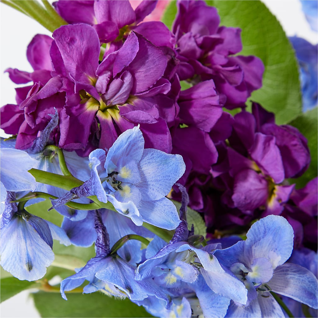 Twilight Glow Bouquet –  Boston City Florist, Boston MA