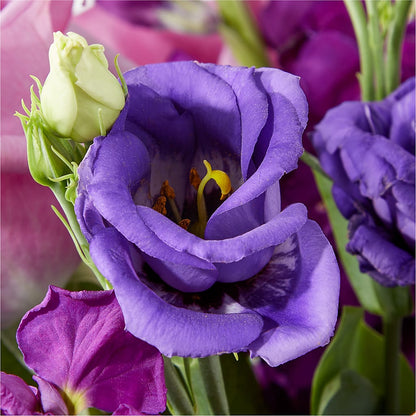 Twilight Glow Bouquet –  Boston City Florist, Boston MA