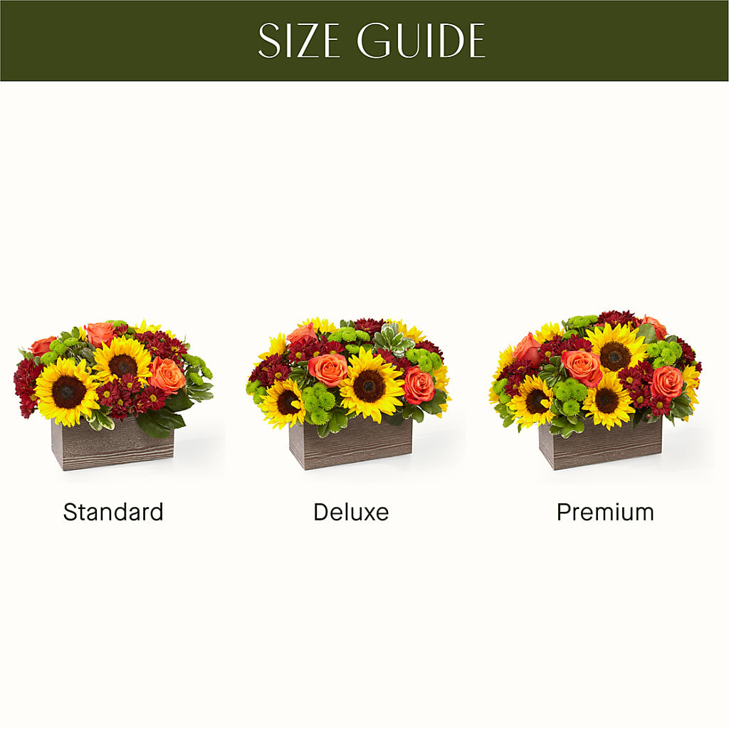Happy Harvest Garden –  Boston City Florist, Boston MA