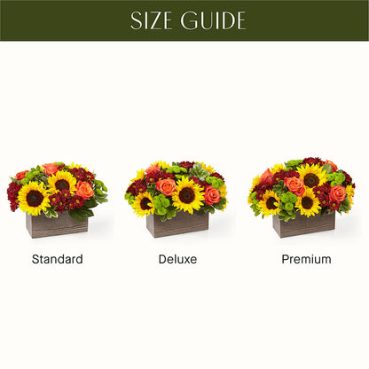 Happy Harvest Garden –  Boston City Florist, Boston MA