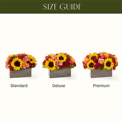 Fresh Cider Bouquet –  Boston City Florist, Boston MA