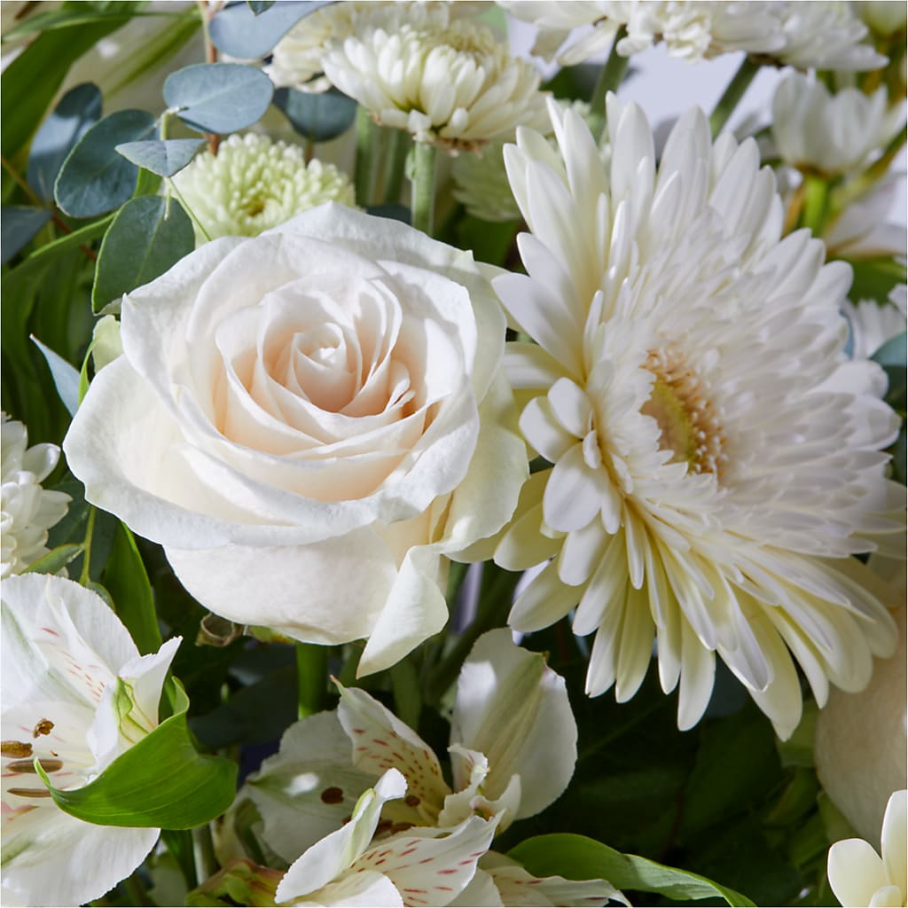 New Beginnings – A Florist Original –  Boston City Florist, Boston MA