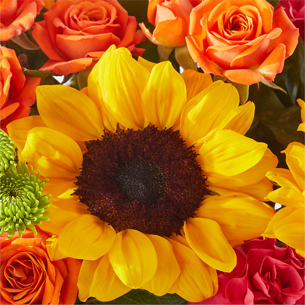Sun-drenched Blooms Box Bouquet –  Boston City Florist, Boston MA