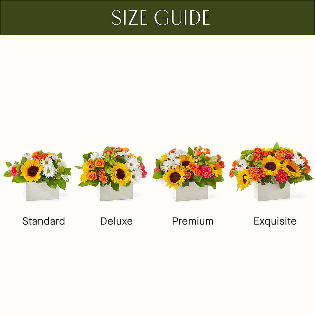 Sun-drenched Blooms Box Bouquet –  Boston City Florist, Boston MA