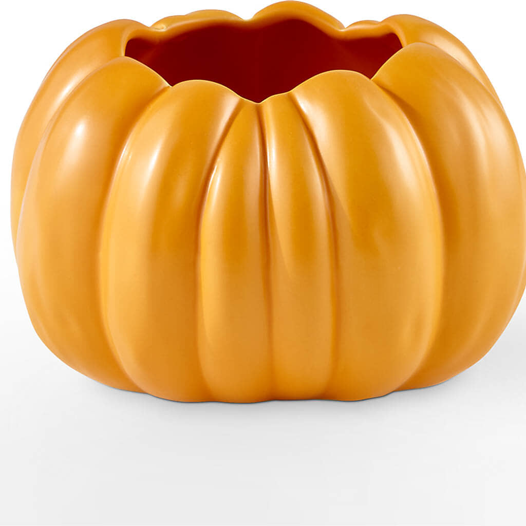 Golden Gourd Pumpkin Bouquet –  Boston City Florist, Boston MA