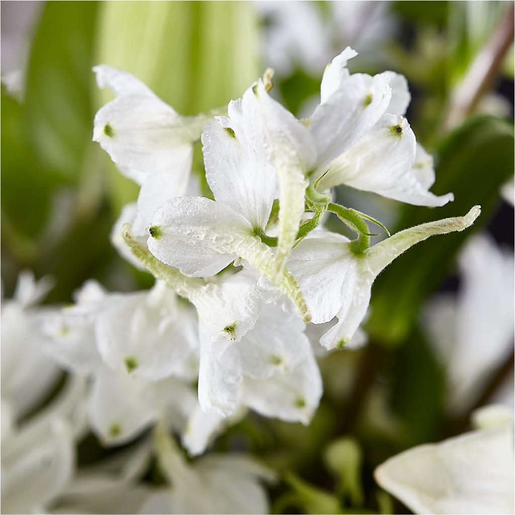 Classic Ivory – A Florist Original –  Boston City Florist, Boston MA