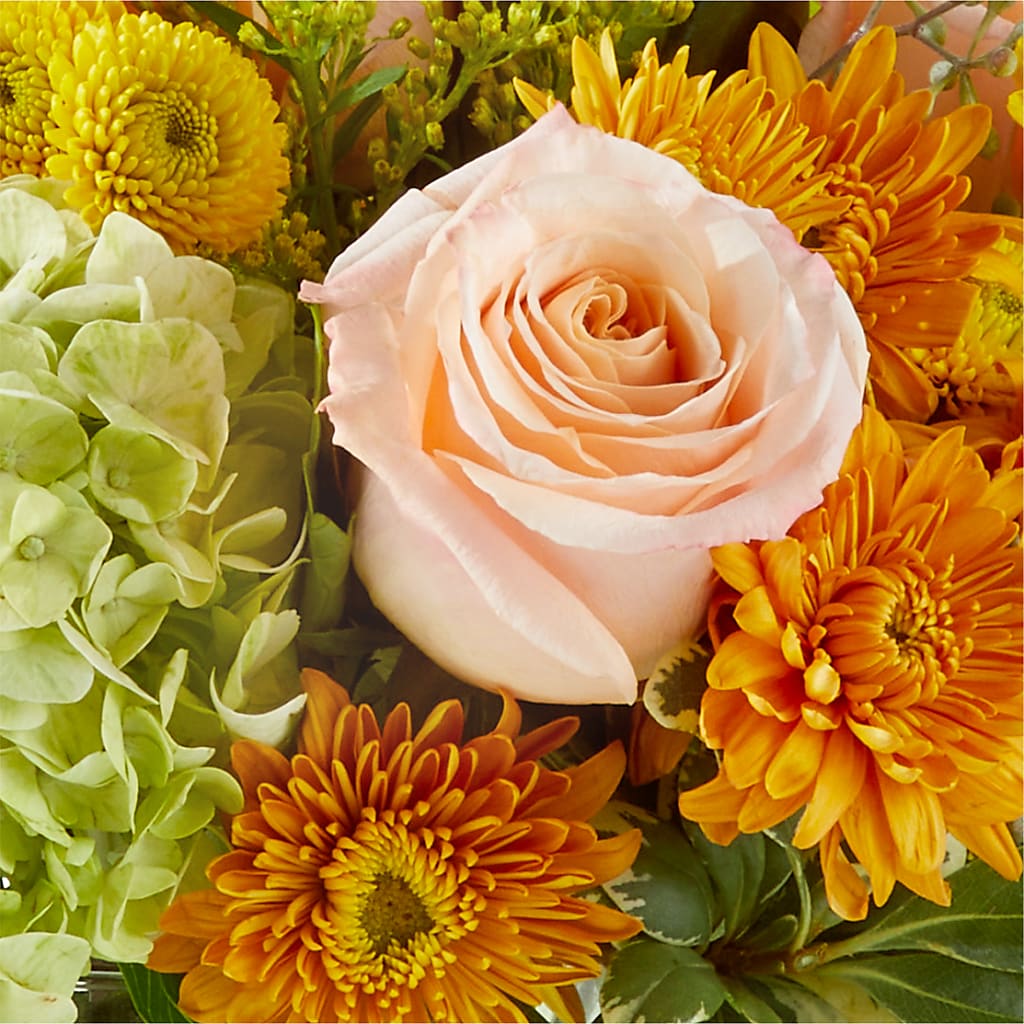 Fall Foliage Bouquet –  Boston City Florist, Boston MA