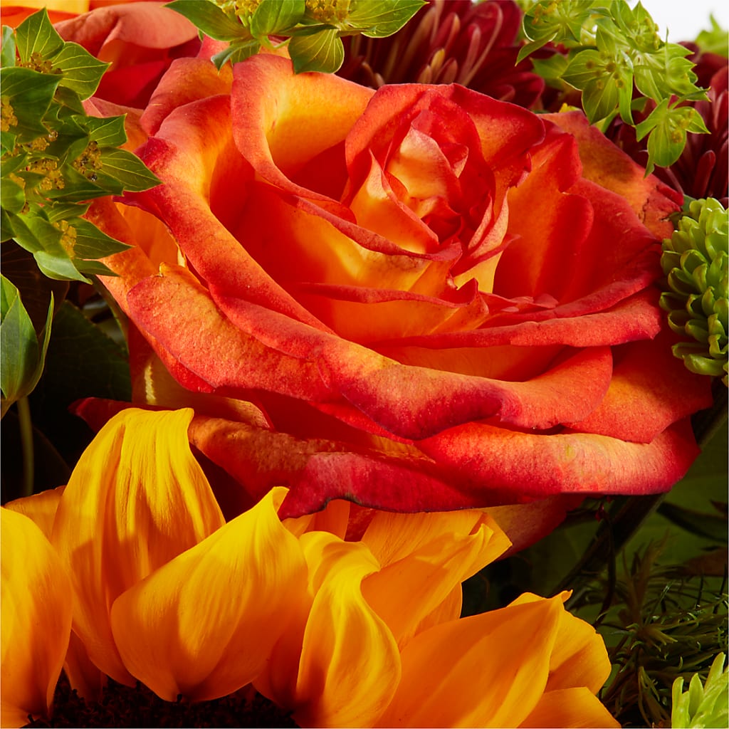 Harvest Festival Bouquet –  Boston City Florist, Boston MA