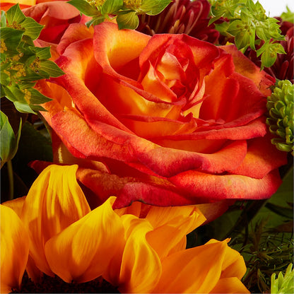 Harvest Festival Bouquet –  Boston City Florist, Boston MA