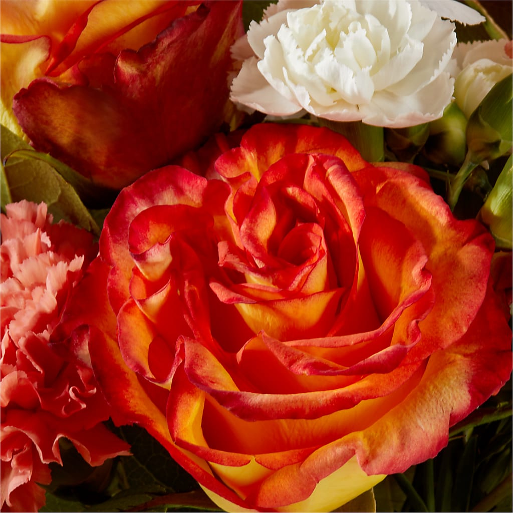 Apricot Glow Bouquet –  Boston City Florist, Boston MA