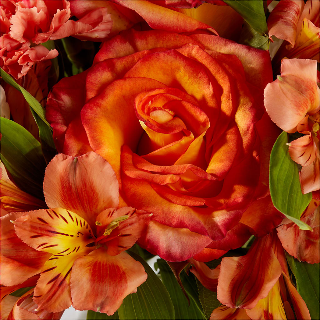 Apricot Glow Bouquet –  Boston City Florist, Boston MA