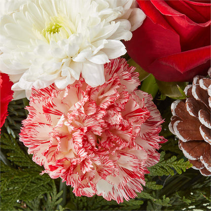 Candy Cane Lane Bouquet –  Boston City Florist, Boston MA